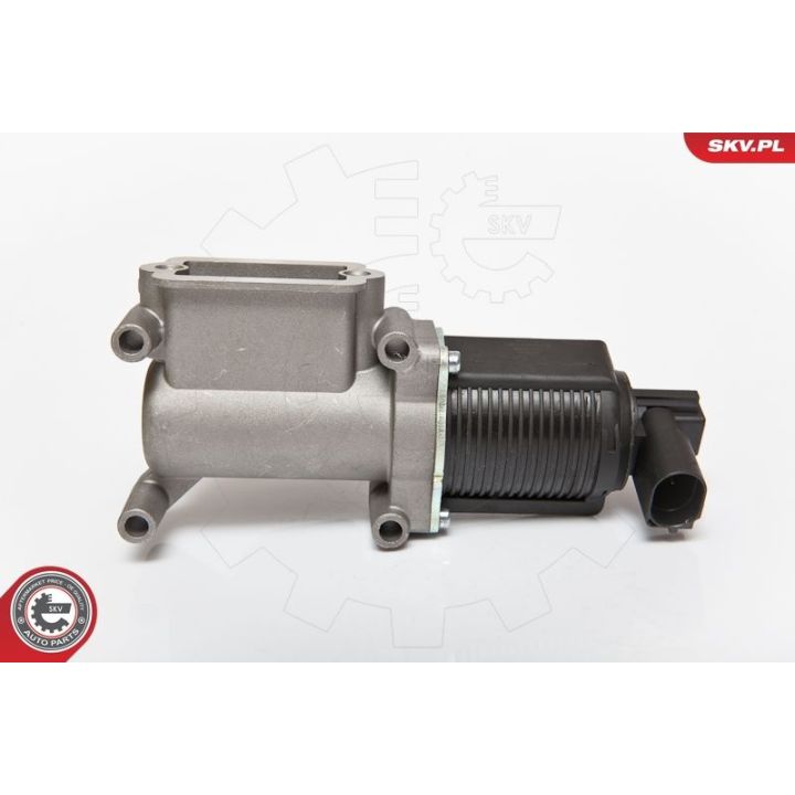 ERG vožtuvas ESEN SKV 14SKV064