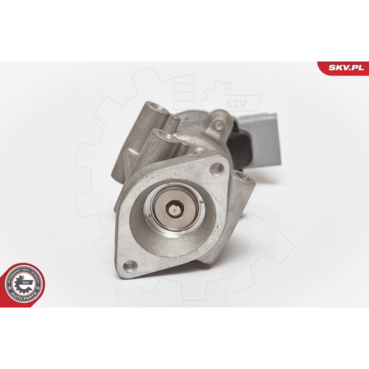 ERG vožtuvas ESEN SKV 14SKV066