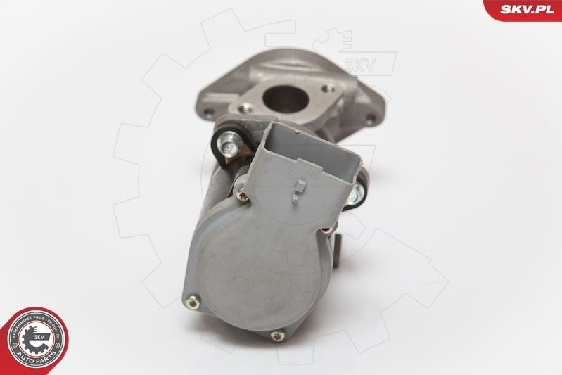 ERG vožtuvas ESEN SKV 14SKV073