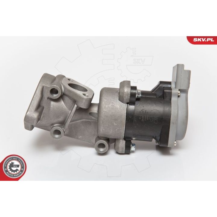 ERG vožtuvas ESEN SKV 14SKV073