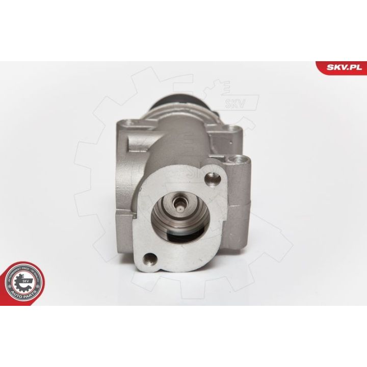 ERG vožtuvas ESEN SKV 14SKV076