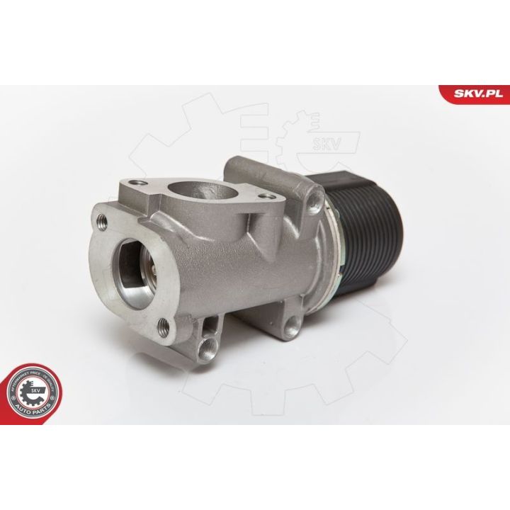 ERG vožtuvas ESEN SKV 14SKV076