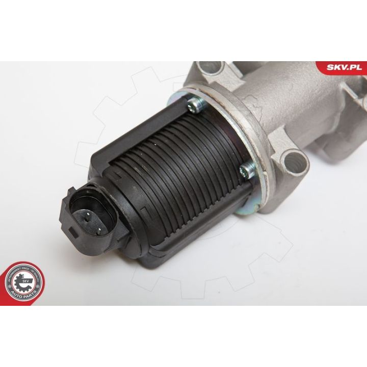 ERG vožtuvas ESEN SKV 14SKV076