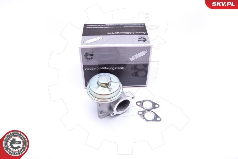 ERG vožtuvas ESEN SKV 14SKV092