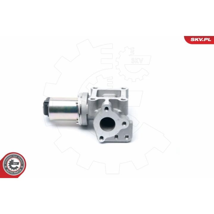 ERG vožtuvas ESEN SKV 14SKV099