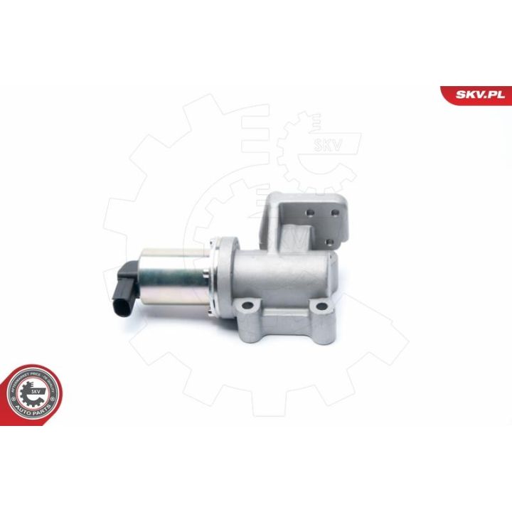 ERG vožtuvas ESEN SKV 14SKV099