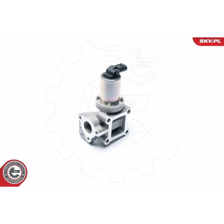 ERG vožtuvas ESEN SKV 14SKV099