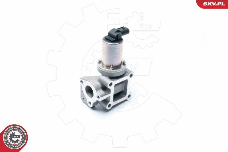 ERG vožtuvas ESEN SKV 14SKV099