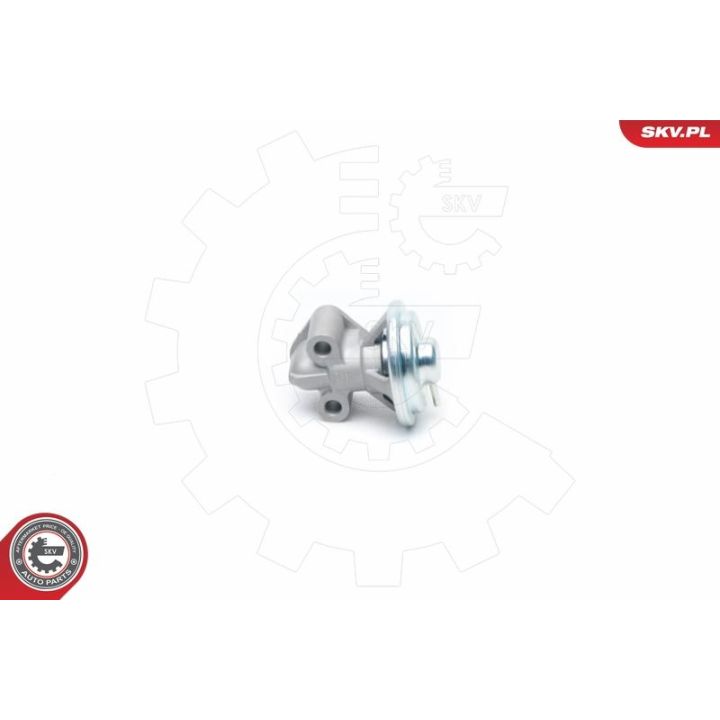 ERG vožtuvas ESEN SKV 14SKV104