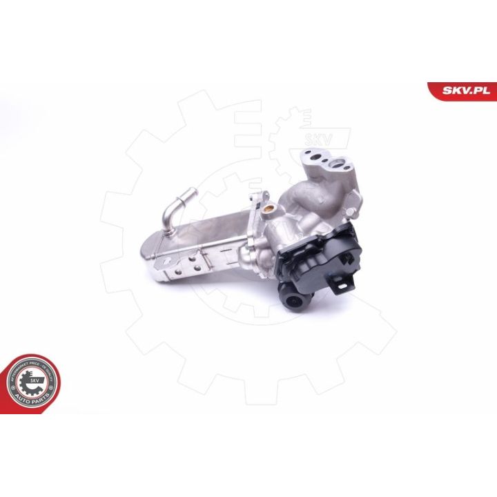 ERG vožtuvas ESEN SKV 14SKV157