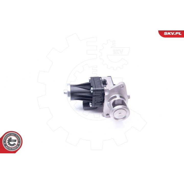 ERG vožtuvas ESEN SKV 14SKV159