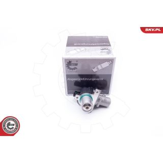 ERG vožtuvas ESEN SKV 14SKV163