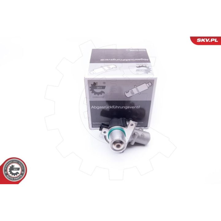 ERG vožtuvas ESEN SKV 14SKV163