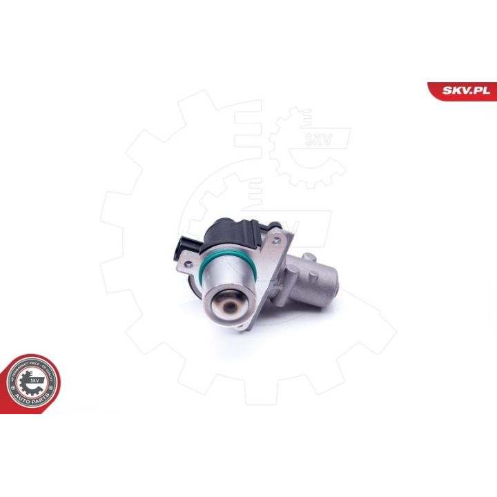 ERG vožtuvas ESEN SKV 14SKV163