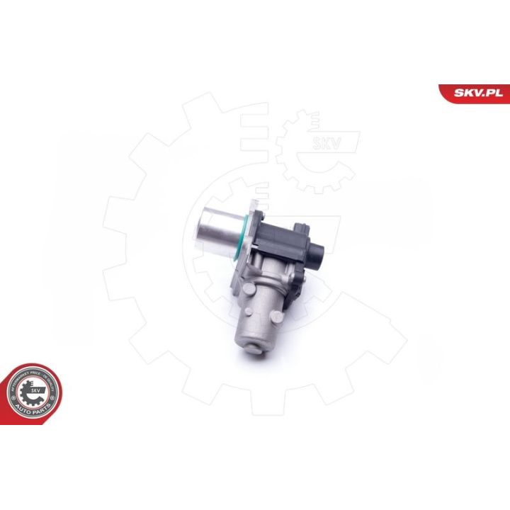 ERG vožtuvas ESEN SKV 14SKV163