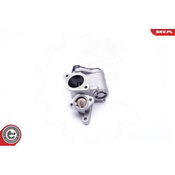 ERG vožtuvas ESEN SKV 14SKV168