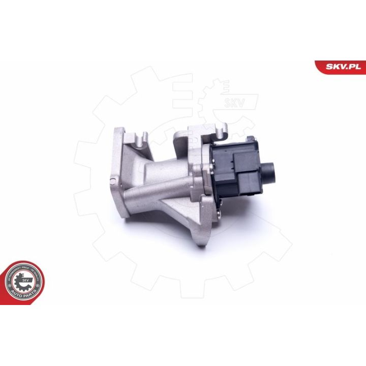ERG vožtuvas ESEN SKV 14SKV171
