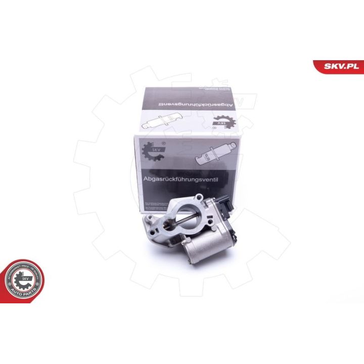 ERG vožtuvas ESEN SKV 14SKV184