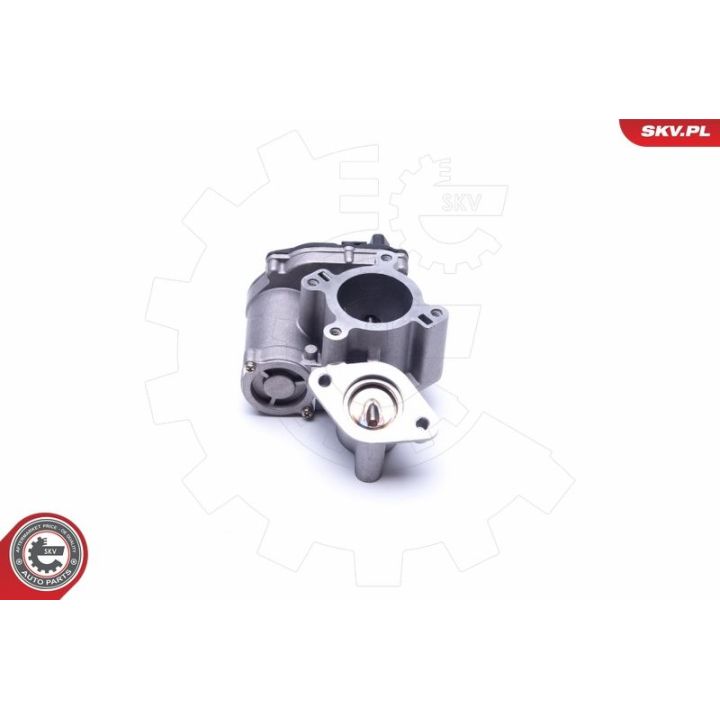 ERG vožtuvas ESEN SKV 14SKV184
