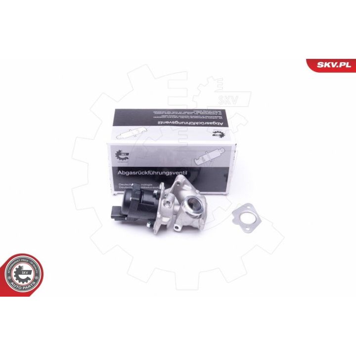 ERG vožtuvas ESEN SKV 14SKV202