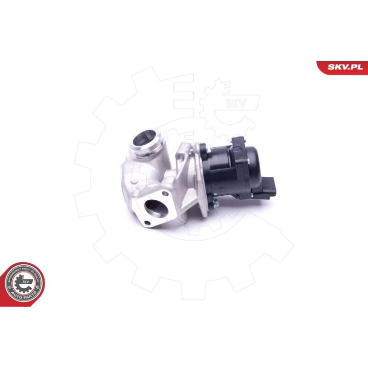 ERG vožtuvas ESEN SKV 14SKV202