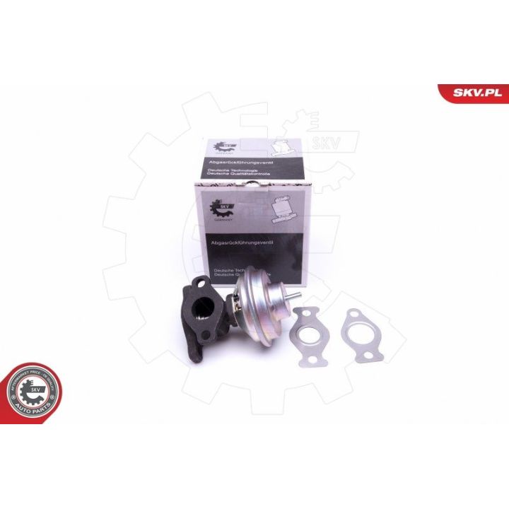 ERG vožtuvas ESEN SKV 14SKV204