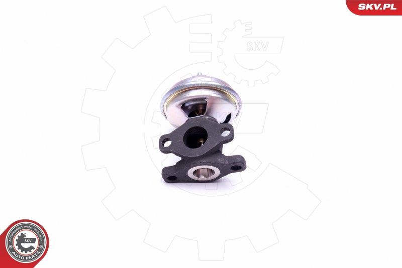 ERG vožtuvas ESEN SKV 14SKV204