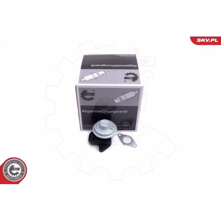 ERG vožtuvas ESEN SKV 14SKV205