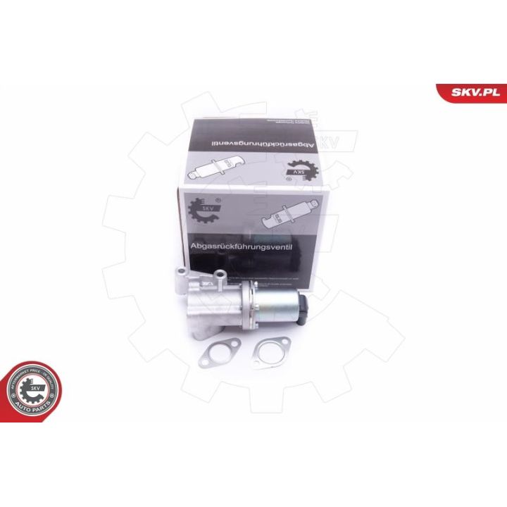 ERG vožtuvas ESEN SKV 14SKV211