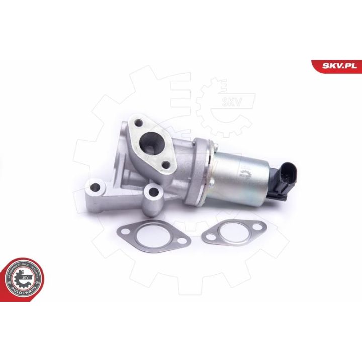 ERG vožtuvas ESEN SKV 14SKV213