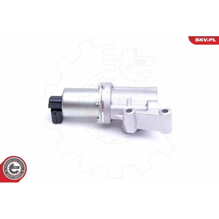 ERG vožtuvas ESEN SKV 14SKV213