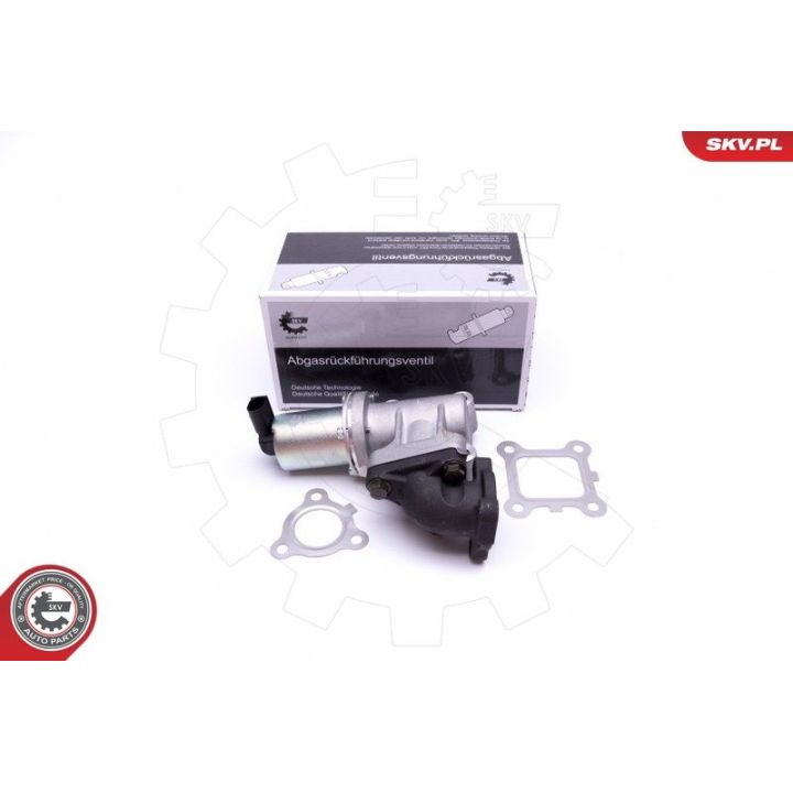 ERG vožtuvas ESEN SKV 14SKV214