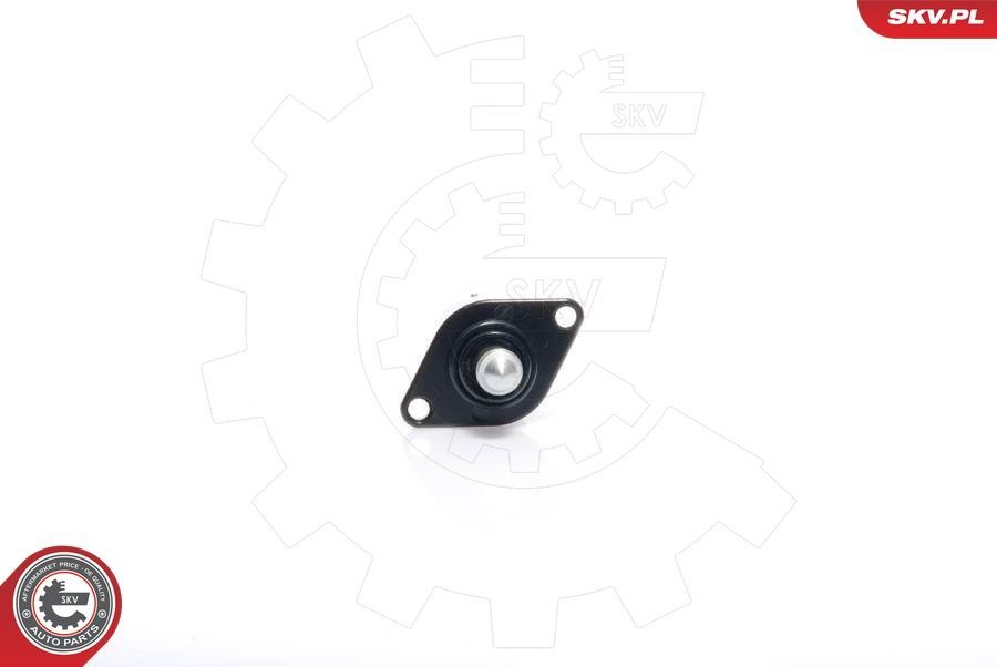 Tuščiosios eigos valdymo vožtuvas, oro tiekimas ESEN SKV 08SKV037