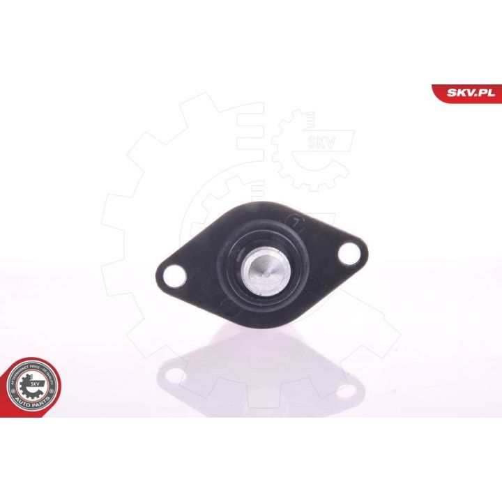 Tuščiosios eigos valdymo vožtuvas, oro tiekimas ESEN SKV 08SKV040