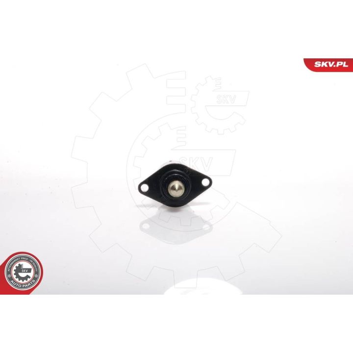 Tuščiosios eigos valdymo vožtuvas, oro tiekimas ESEN SKV 08SKV044