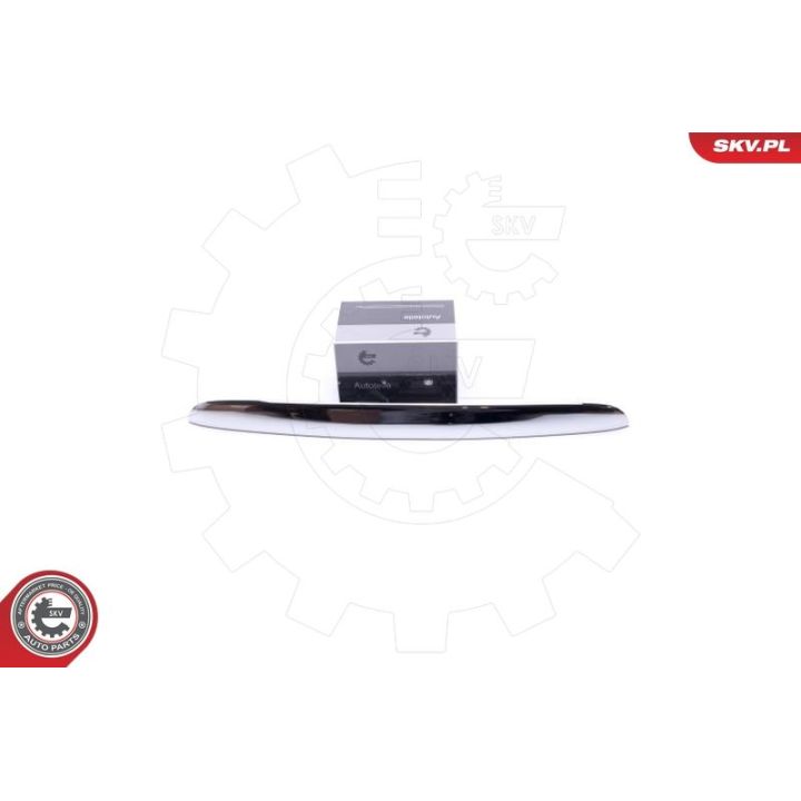 Galinių durų rankenėlė ESEN SKV 96SKV924