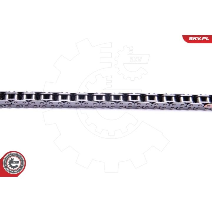 Paskirstymo grandinės komplektas ESEN SKV 21SKV220