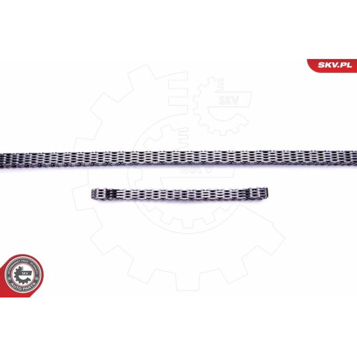 Paskirstymo grandinės komplektas ESEN SKV 21SKV243