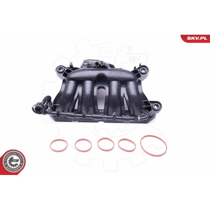 įsiurbimo kolektoriaus modulis ESEN SKV 49SKV045