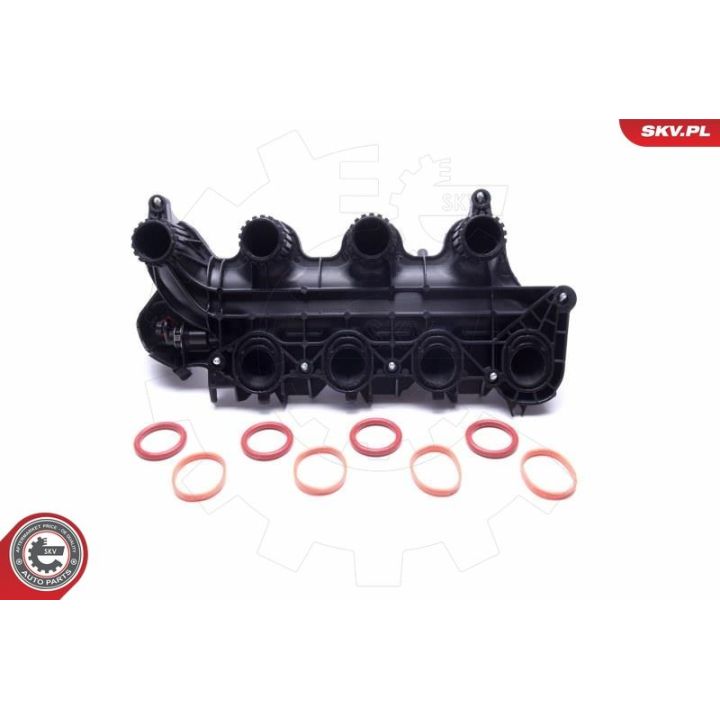 įsiurbimo kolektoriaus modulis ESEN SKV 49SKV065