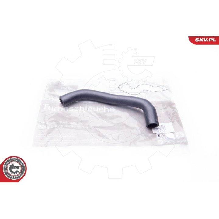 žarna, karterio alsuoklis ESEN SKV 24SKV609