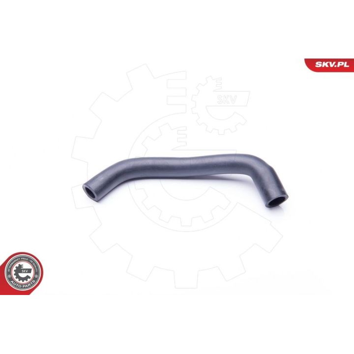 žarna, karterio alsuoklis ESEN SKV 24SKV609