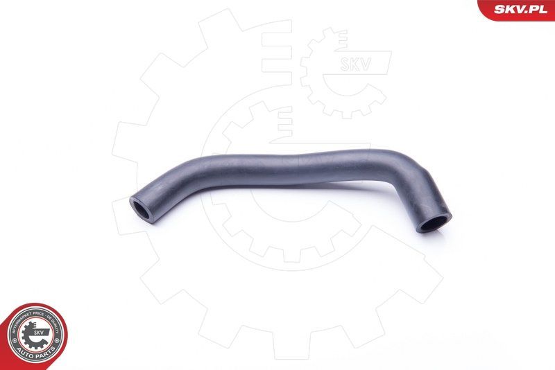 žarna, karterio alsuoklis ESEN SKV 24SKV609