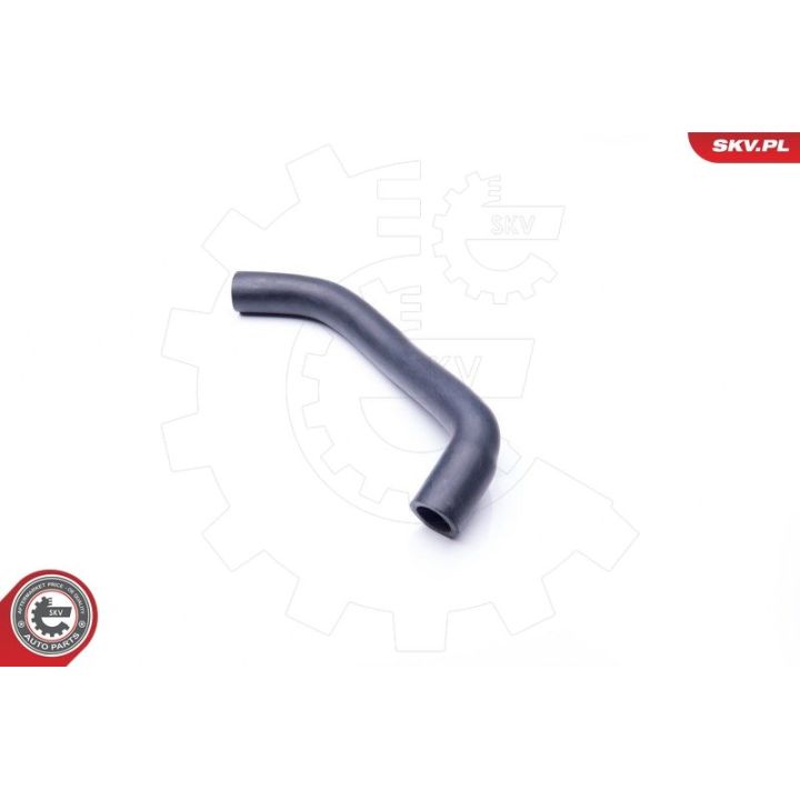 žarna, karterio alsuoklis ESEN SKV 24SKV609