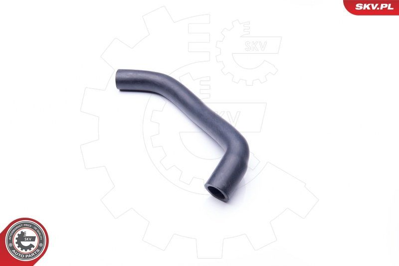 žarna, karterio alsuoklis ESEN SKV 24SKV609