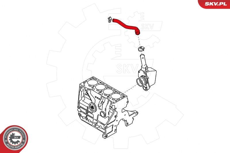 žarna, karterio alsuoklis ESEN SKV 24SKV609