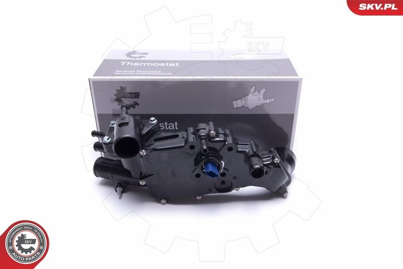 Termostatas, aušinimo skystis ESEN SKV 20SKV161