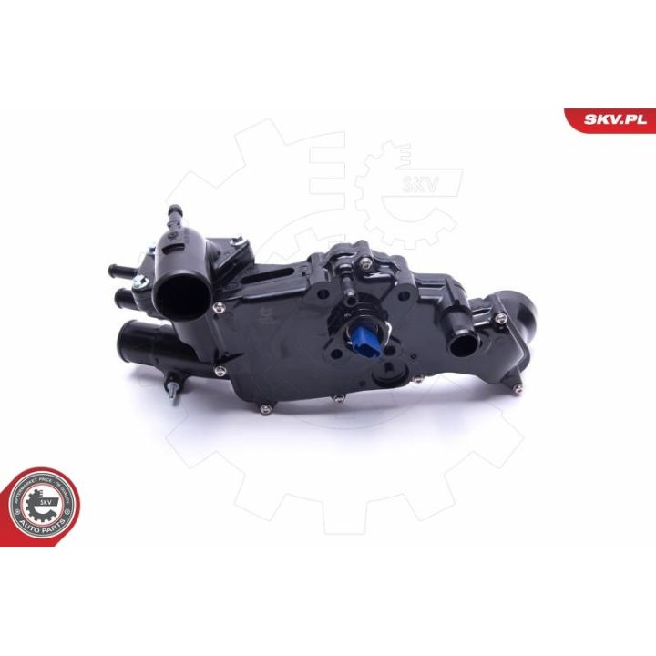 Termostatas, aušinimo skystis ESEN SKV 20SKV161