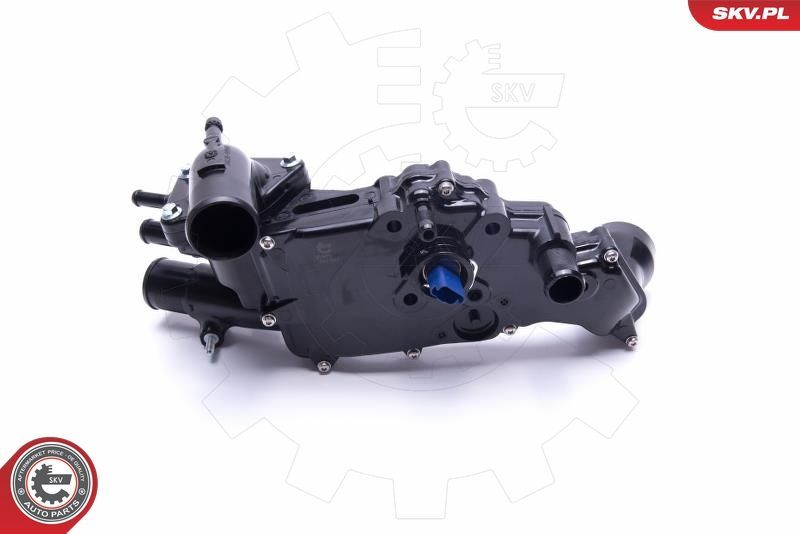 Termostatas, aušinimo skystis ESEN SKV 20SKV161