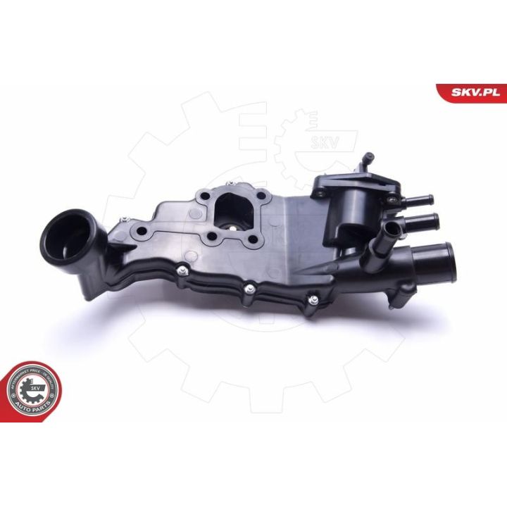 Termostatas, aušinimo skystis ESEN SKV 20SKV161